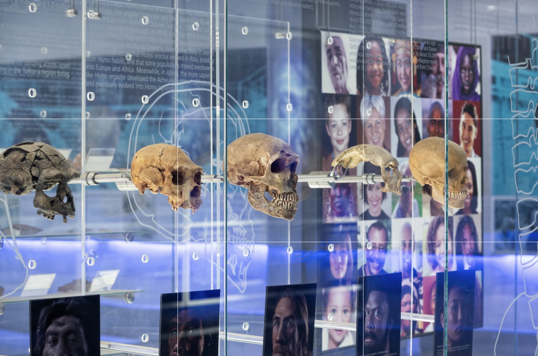 The Cradle of Humankind